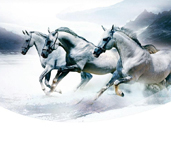 省内排行前十,设计、施工实力排前 省内排行前十,设计、施工实力排前